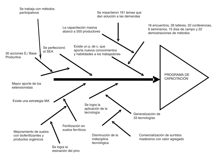 Fig. 2. Factores críticos positivos.