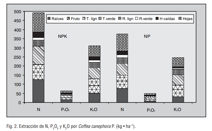 Fig. 2. Extracción de N, P2 O5  y K2 O por Coffea canephora P. (kg • ha–1).
