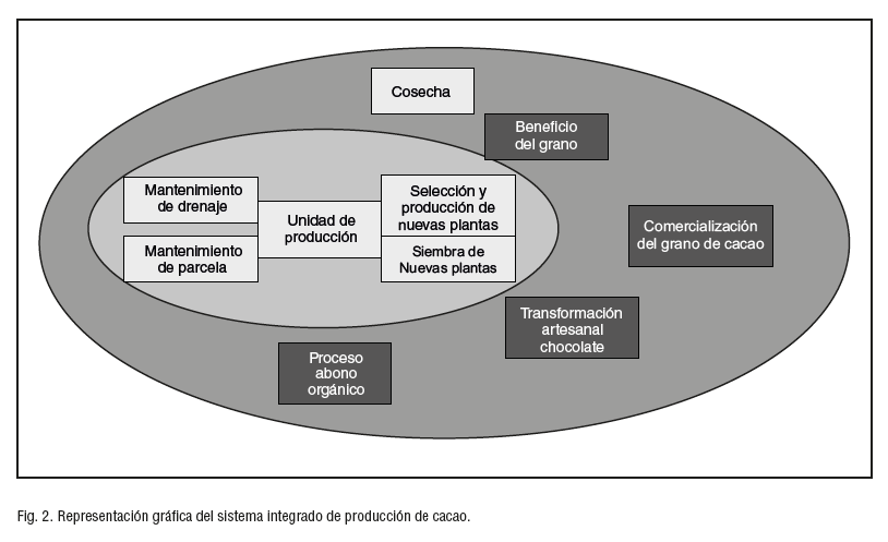 Fig. 2. Representación gráfica del sistema integrado de producción de cacao.