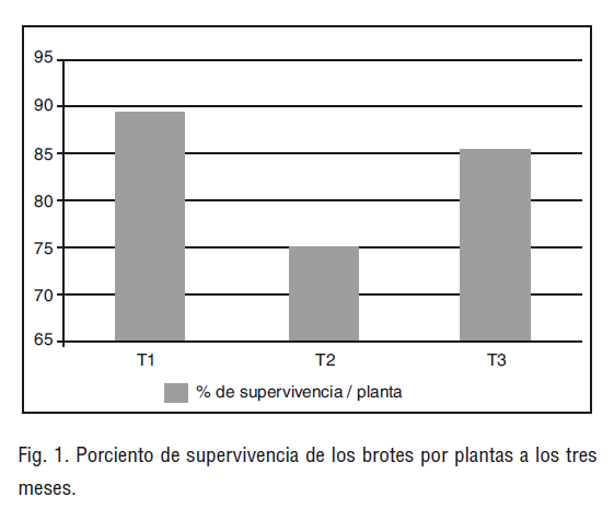 Fig. 1. Porciento de supervivencia de los brotes por plantas a los tres meses.