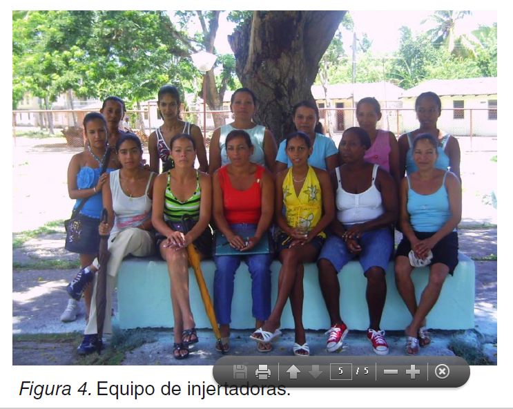 Fig 4. Equipo de injertadoras